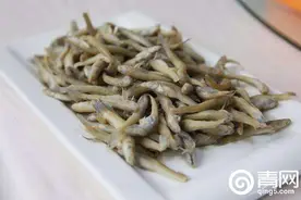 青岛胶州肥美的四小海鲜，肉质鲜美图片