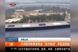 “苹果”向国产手机看齐？苹果“双卡双待”手机或将亮相！视频封面