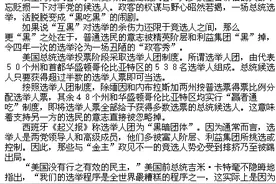评论：美国总统选举，一场“互黑”与“被黑”的闹剧图片