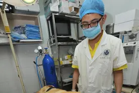 超强狗妈妈剖腹生下14只小狗 一窝宝宝价值上万元图片