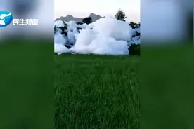 一夜之间村庄多处“冒”出巨型白色泡沫 官方：洗洁精用多了视频封面