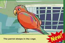 看动画学英语 在晚上 At Night