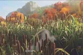 大鹏回来 淘淘高兴地扑到他身上喊妈妈 结果在他脸上放了个屁