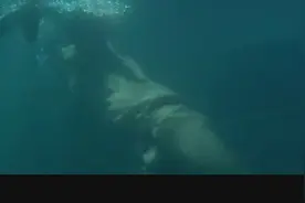 很少见的印巴海战电影，印度潜艇绝地反击，击沉巴潜艇视频封面