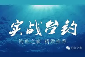 钓技 | 很实用！台钓钓组搭配秘籍图片
