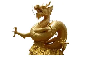 属龙的人生于几月命最好图片