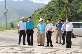 国际著名建筑师马清运“把脉”旬阳旅游发展图片