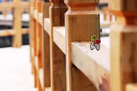 『图趣』居住在科大的小人国居民们图片