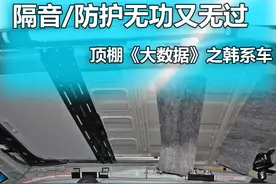 顶棚大数据之韩系车 隔音/防护无功无过图片