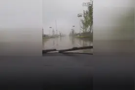 驾考：商丘310淮海科三考场，实际考场模拟考试，考场全过程！视频封面