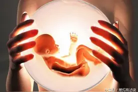 胎梦预示生男生女，你信吗？反正韩国人最信了！图片