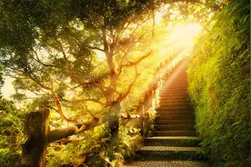 最后一场雨（诗歌）图片