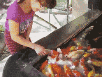 我们的空调和你前任的心一样冷猫是一种反应敏捷，动作迅速的生物图片