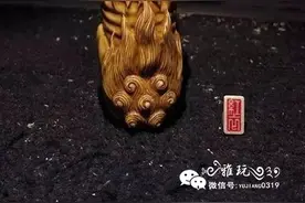 以梦为食的灵兽：食梦貘图片