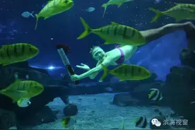 天津极地海洋馆上演“海底奥运会”图片