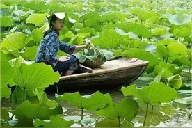 金湖原来这么美！我被惊艳了！图片