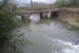 陵阳古桥——安澜桥图片