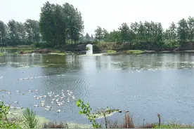 施工单位中途撤场，结算、索赔典型案例图片