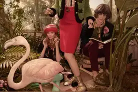 疯狂动物城 | 闯入时装大片的猛兽和良禽图片