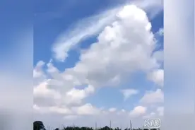 走进广州南沙，永乐绿色生态农庄。视频封面