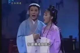 吴琼 张辉演唱 黄梅戏天仙配选段图片