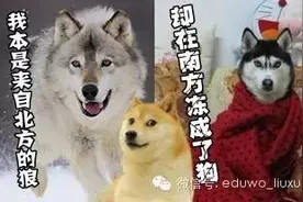 北京大寒将至，冷到手机自动关机，澳洲人民却热笑了？！图片