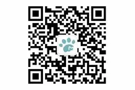 一张图看懂仓鼠宝宝的吃货生涯图片