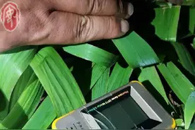 汽车锁了，小偷是咋进来的？图片