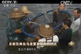 商机 蔡春有：总能发现养鱼商机，年赚千万So easy！图片