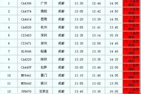 成都双流机场大面积延误  １小时内备降航班25架次图片