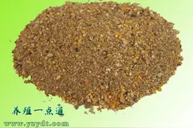 全价饲料的七大优点图片