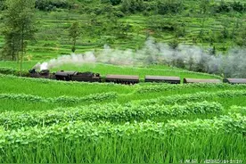 世界唯一正常运营着的窄轨蒸汽火车，错过即是遗憾图片