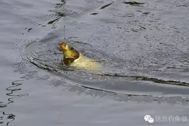 钓鱼，从来不忘记带相机！图片