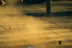 宝宝有话说：各路网友都别吵吵了(图)图片