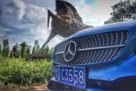 脱胎换骨惹人爱 试驾奔驰A200都市型图片