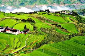 当一个哑巴遇到一个喜欢说话的农村妇女之后图片