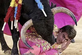 牛终于胜了！惨不忍睹的西班牙斗牛图片