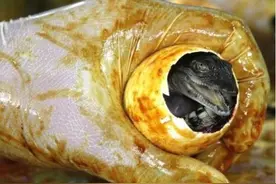 鳄鱼产卵孵化过程，卵生鳄鱼也需要剪掉脐带！图片