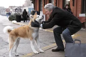 《忠犬八公的故事》：相聚时少，分离时常图片