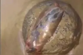 男子钓鱼途中发现一块“石头”，伸手就要拿开结果受伤了！图片