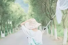 夏天夏天悄悄过去，留下小秘密图片