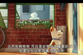 爱宠大机密，一群等待者的狂欢图片