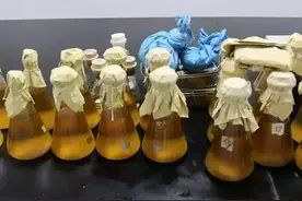 你一定不知道！999感冒灵颗粒，约60%产自惠州！图片