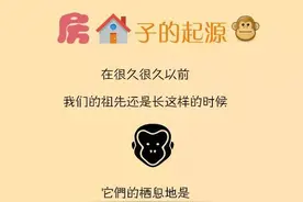 涨知识 | 原来房子是这样来的图片