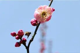 这些月份出生的人，天生桃花运旺盛，身边总围绕爱慕的人图片