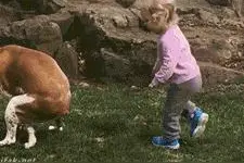 宝宝们会因此对狗狗有阴影吗？笑倒一片旁观者图片