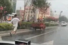 主人快来追我啊，追上我就让你上车，追不上你就自己跑着回家吧图片