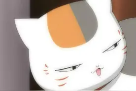 表情丰富的猫咪老师，超级可爱！图片
