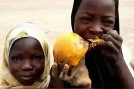 真实记录非洲孩子的三餐图片