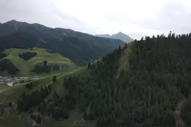 90%乌鲁木齐人都不知道的地方——近郊就可采蘑菇图片